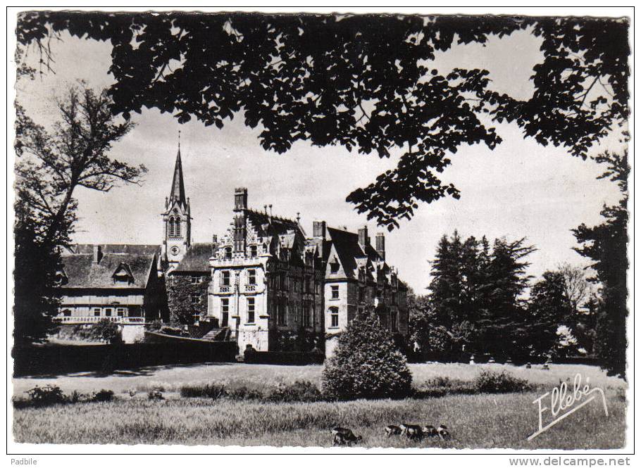 Carte Postale 76. Cleres  Le Zoo Et Le Chateau Trés Beau Plan - Clères