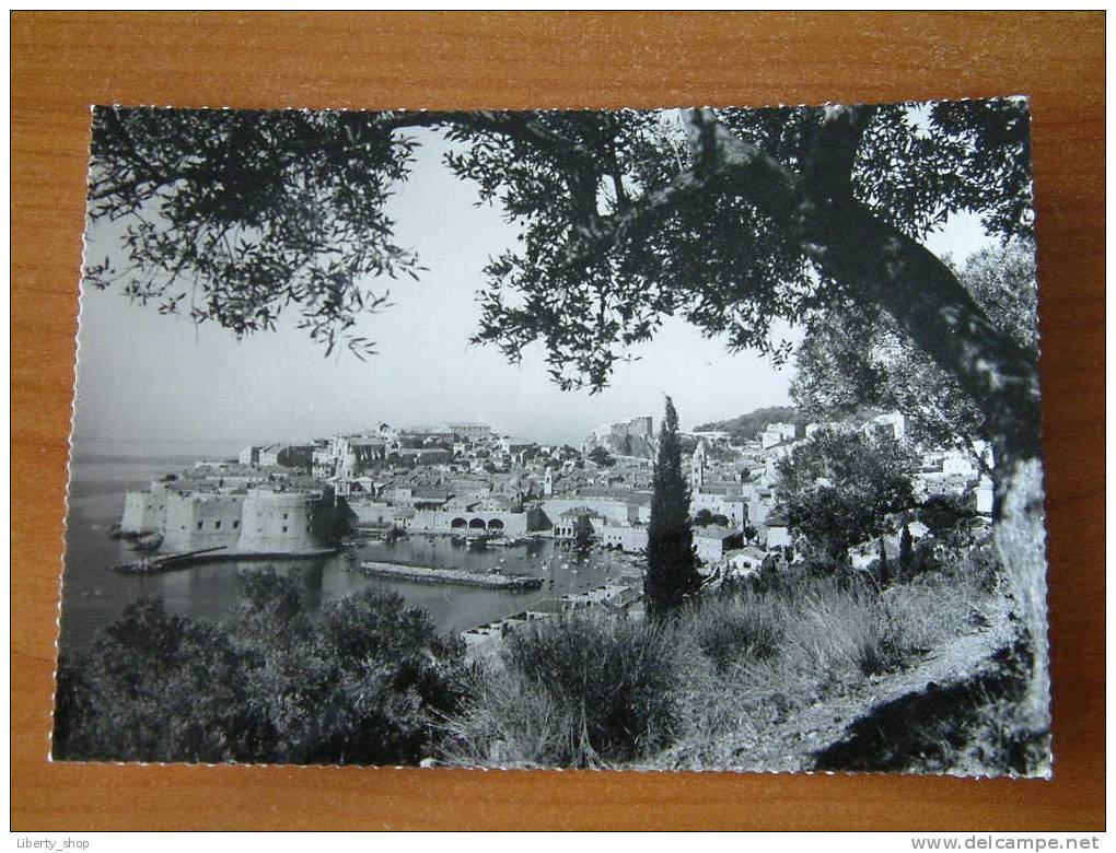 DUBROVNIK - PANORAMA / Anno 19?? ( Zie Foto Voor Details ) !! - Croatie