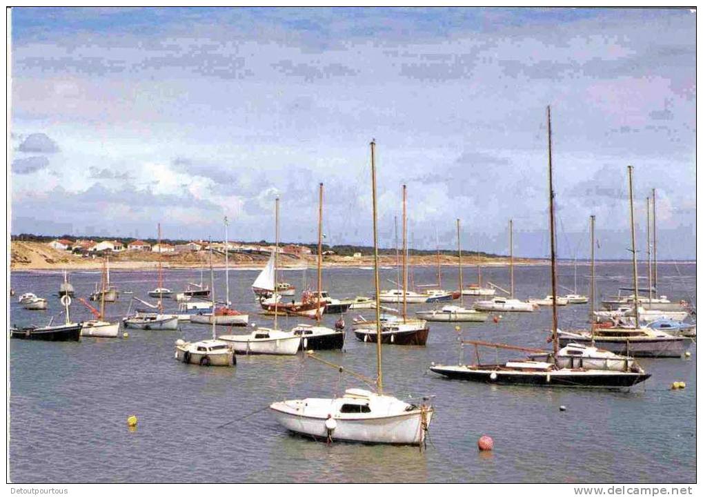 JARD SUR MER Vendée 85 : Le Port  ( Bateaux Plaisance Voiliers Sailing Boats ) - Sables D'Olonne