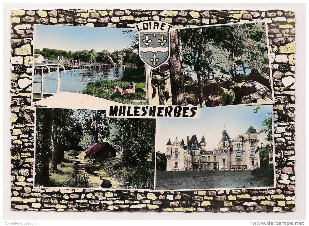 Cp , 45 , MALESHERBES , La  Baignade , Multi Vues , 1961 , Blason , LOIRET - Malesherbes