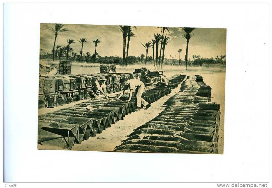008491/93  - Contrôle Des Bombes Sous Les Palmiers En Afrique Du Nord      Série ADLER  Carton Souple 10,5 X 14,8 Cm - 1939-1945: 2ème Guerre