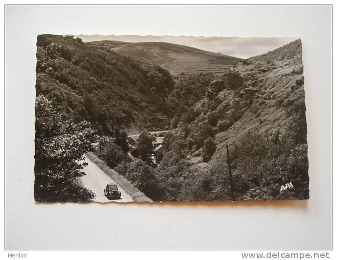 81 - Tarn -Lacaune Les Bains     Ca 1950's   VF  D58820 - Mazamet