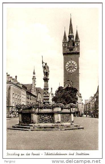 6837 - STEAUBING AN DER DONAU - TIBUETIUSBEUNNEN UND STADTTUEIN - Straubing