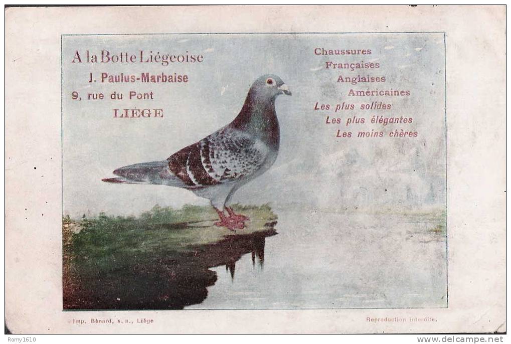 Carte Publicitaire Pour Le  Magasin "A La Botte Liègeoise"  Représentée Par Un Beau Pigeon. - Pájaros