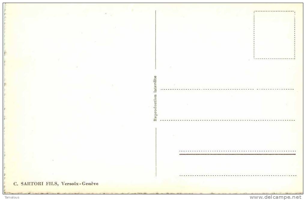 SUISSE - VS VALAIS - BRIG - BRIGUE - Stokalperschloss - CHATEAU STOCKALPER - Dos Scanné - - Brigue-Glis 