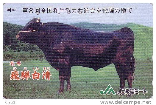 Télécarte Japon / 290-50465 - TAUREAU - BULL Japan Phone Card - STIER - TORO - Vache Cow Kuh - 50 - Cows