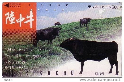 TC Ancienne Japon - TAUREAU - BULL Japan Front Bar Phonecard - STIER - TORO - Vache Cow Kuh - 64 - Vaches