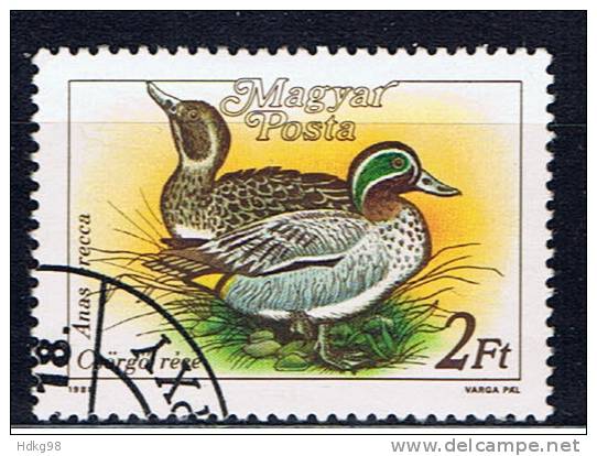 H+ Ungarn 1988 Mi 3972 Enten - Gebraucht