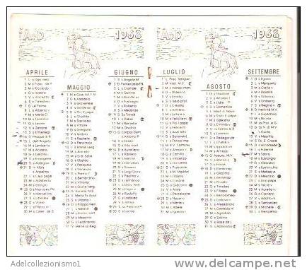 33555)calendario Santuario Di Lourdes 1968 - Small : 1961-70