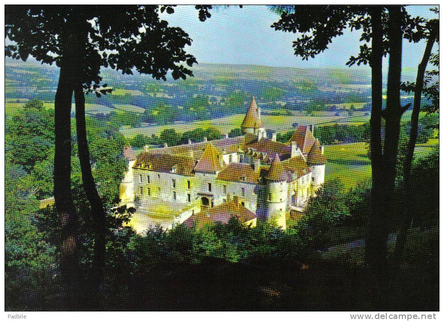 Carte Postale  58. Bazoches-du-Morvand  Le Chateau De Vauban Trés Beau Plan - Bazoches