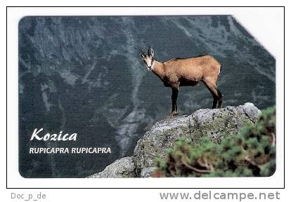 Poland - Bock - Berg Ziege - Animal - Kozica - Pologne