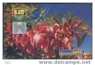 # URUGUAY Tc52a Ceibo $25 Sc7 04.99 Tres Bon Etat -fleurs,flower- - Uruguay