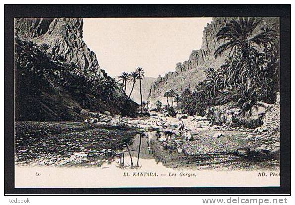 Early Postcard Les Gorges El Kantara Algeria - Ex France Colony  - Ref 494 - Other & Unclassified