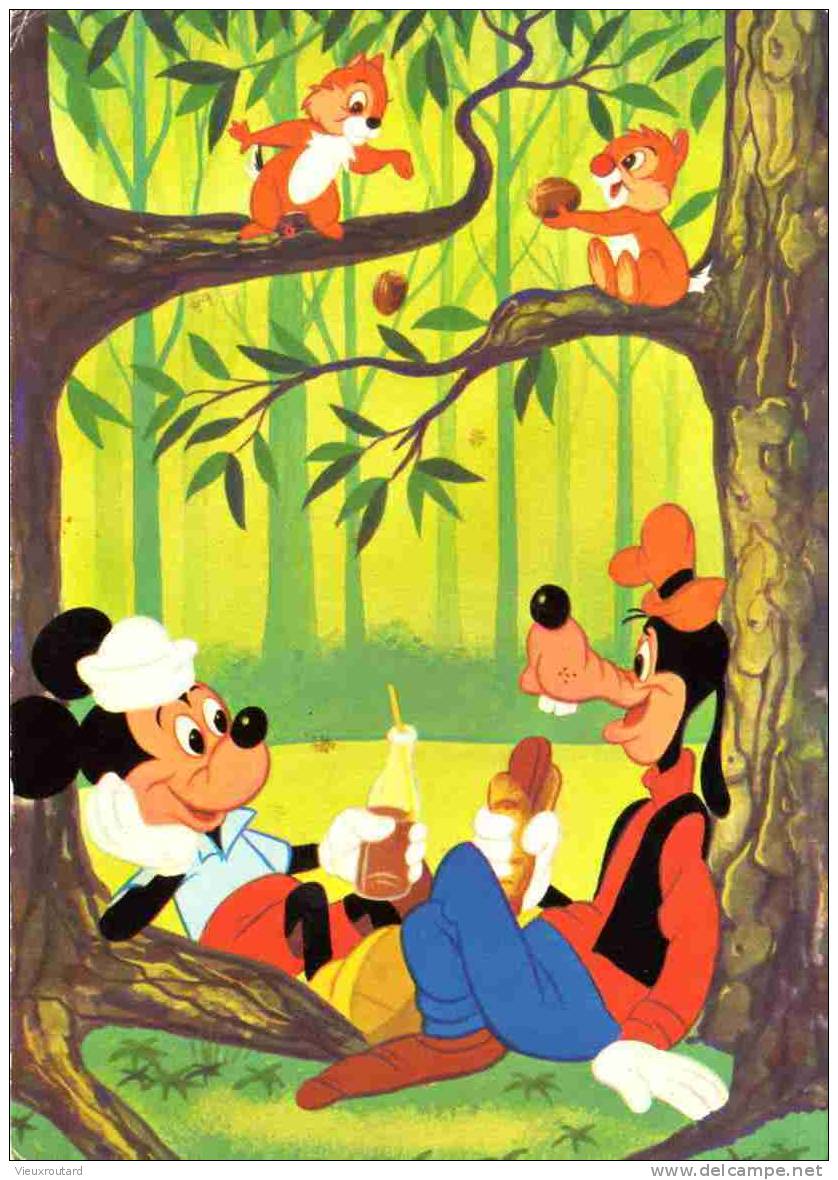 CPSM.  MICKEY ET PLUTOT. WALT DISNEY. - Bandes Dessinées