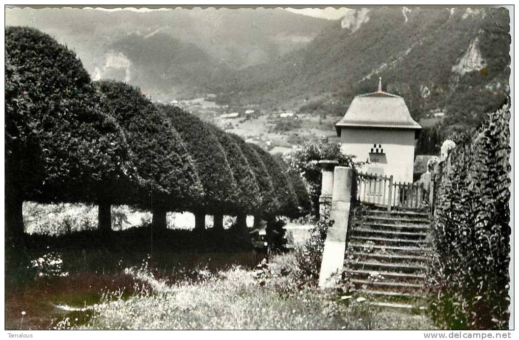 73 - SAVOIE - St PIERRE D´ALBIGNY - MONASTERE De La VISITATION - ALLEE Des IFS Taillés - - Saint Pierre D'Albigny