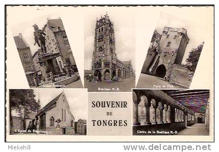 TONGEREN-SOUVENIR DE TONGRES-multivues - Tongeren