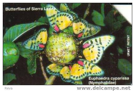 SIERRA  LEONE  100  U  BUTTERFLY  INSECT   SRL-13  READ DESCRIPTION !!! - Sierra Leona