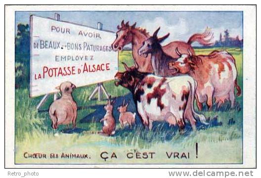 Choeur Des Animaux - Potasse D'Alsace ( Cheval, Vache, Lapins, Mouton, âne ) - Publicité