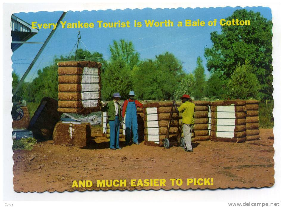 Greetings From Dixie Bales Of Cotton - Charleston