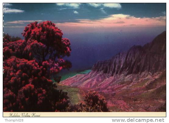 KALALAU VALLEY, Na Pali Coast, Kauai - Breath-taking View Of The Lush Valley - Kauai