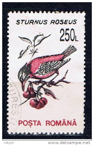 RO+ Rumänien 1993 Mi 4884 Vogel - Used Stamps