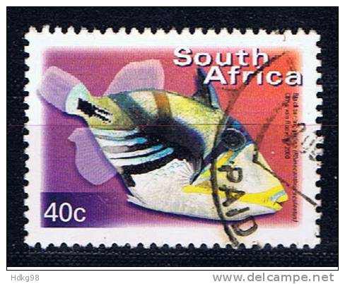 RSA+ Südafrika 2000 Mi 1289 Fisch - Gebraucht