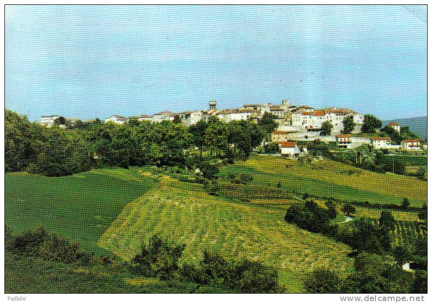 Carte Postale 81.  Castelnau-de-Montmirail   Trés Beau Plan - Castelnau De Montmirail