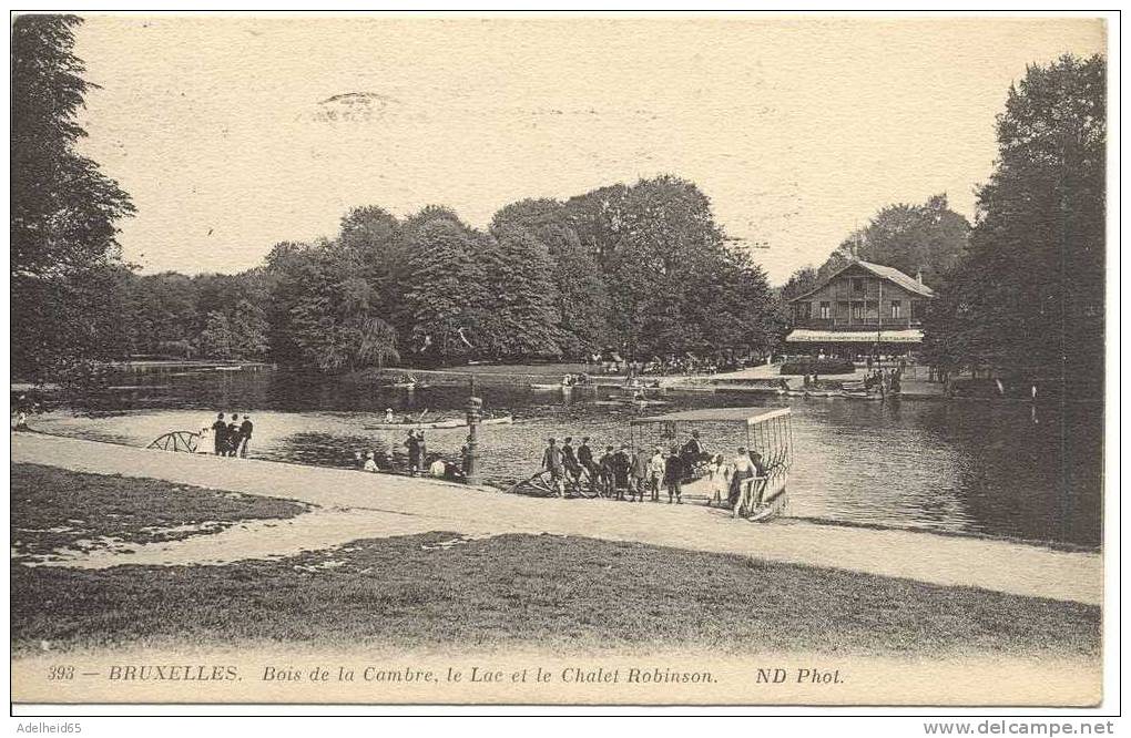 A Saisir: Bruxelles Bois De La Cambre, Le Lac Et Le Robinson Ed. ND Phot Oblit. Sabena - Forêts, Parcs, Jardins