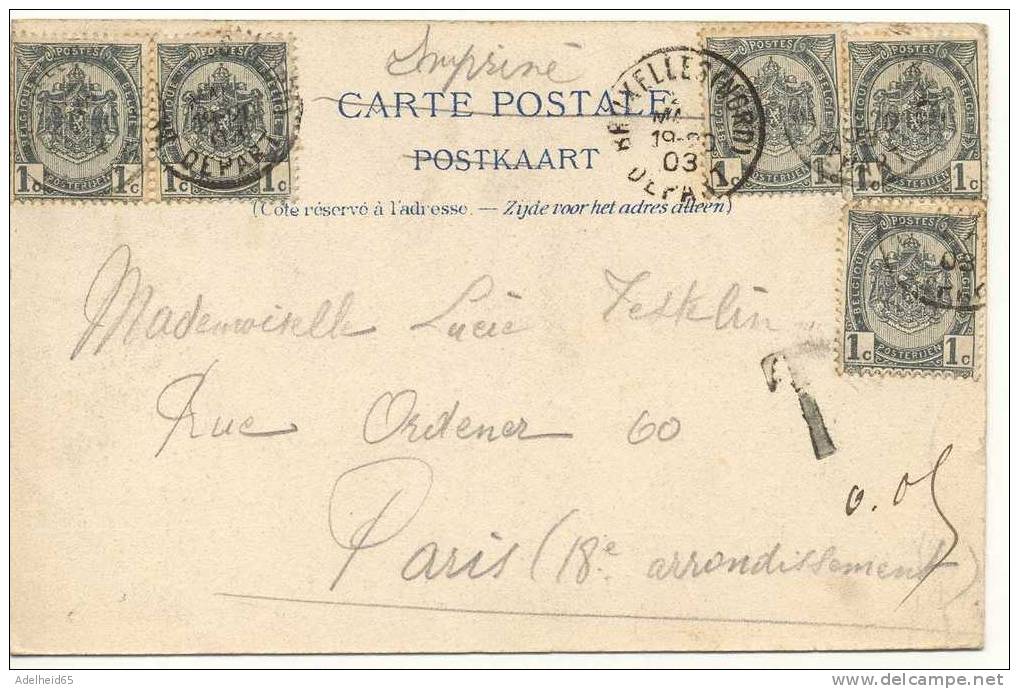 A Saisir 1903 Bruxelles Entrée Du  Parc, Ed. C.V.C. (van Cortenbergh) 5 Timbres, Taxe - Bossen, Parken, Tuinen