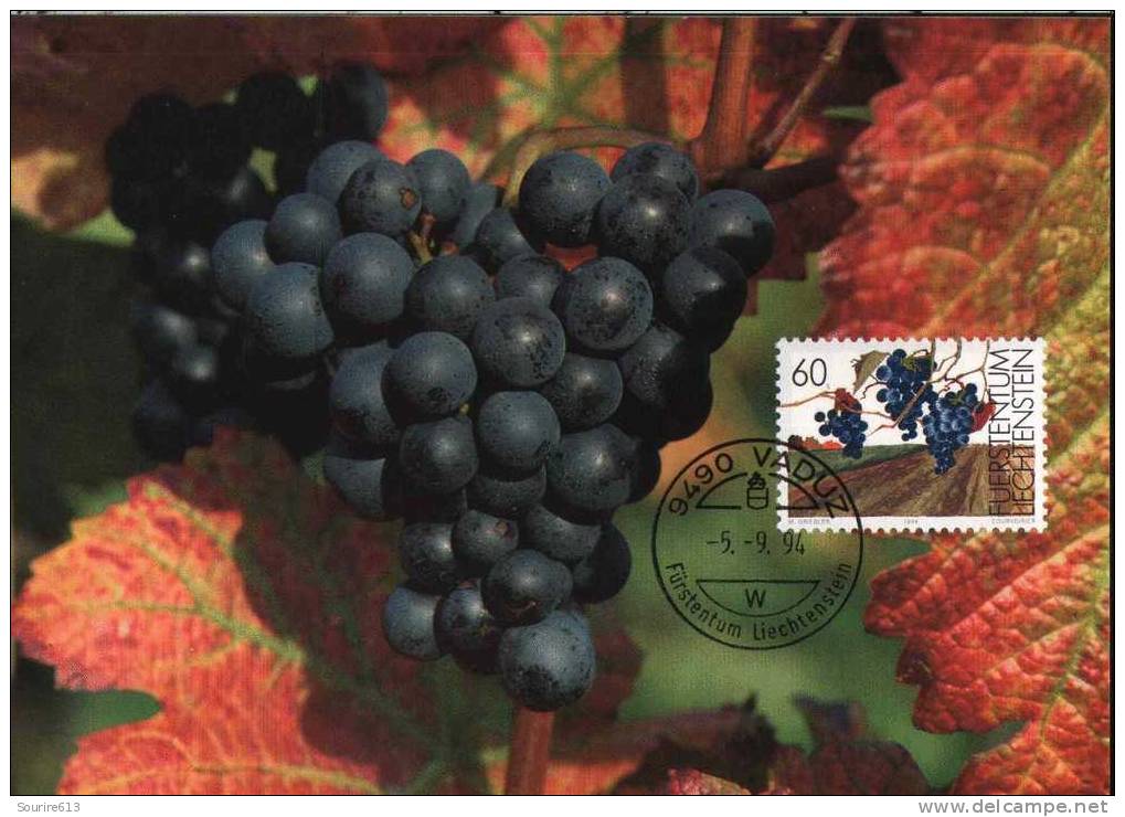 CPJ Liechtenstein 1994  Boissons Vin Vigne Automne Grappe Mure Raisin Noir - Sonstige & Ohne Zuordnung