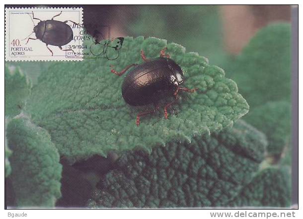 ACORES CARTE MAXIMUM  NUM.YVERT 356 INSECTES - Maximum Cards & Covers