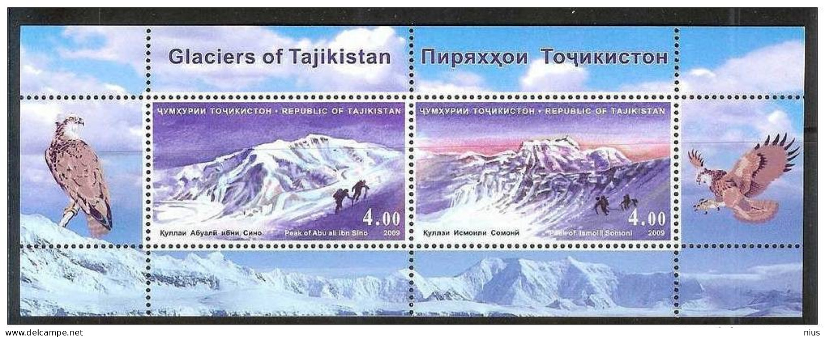 Tajikistan 2009 Bird Birds Arctic Polar Glaciers Of Tajikistan, Fauna - Tadschikistan