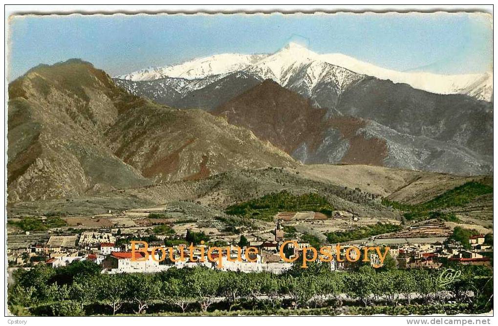 66 - PRADES - Vue Panoramique - Scanée Recto Verso - Prades