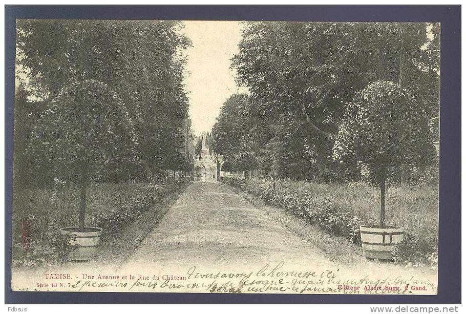 1903 TEMSE  - TAMISE - TEMSCHE KASTEELLAAN - UNE AVENUE ET LA RUE DU CHATEAU - NAAR JEMEPPE SUR MEUSE - Temse