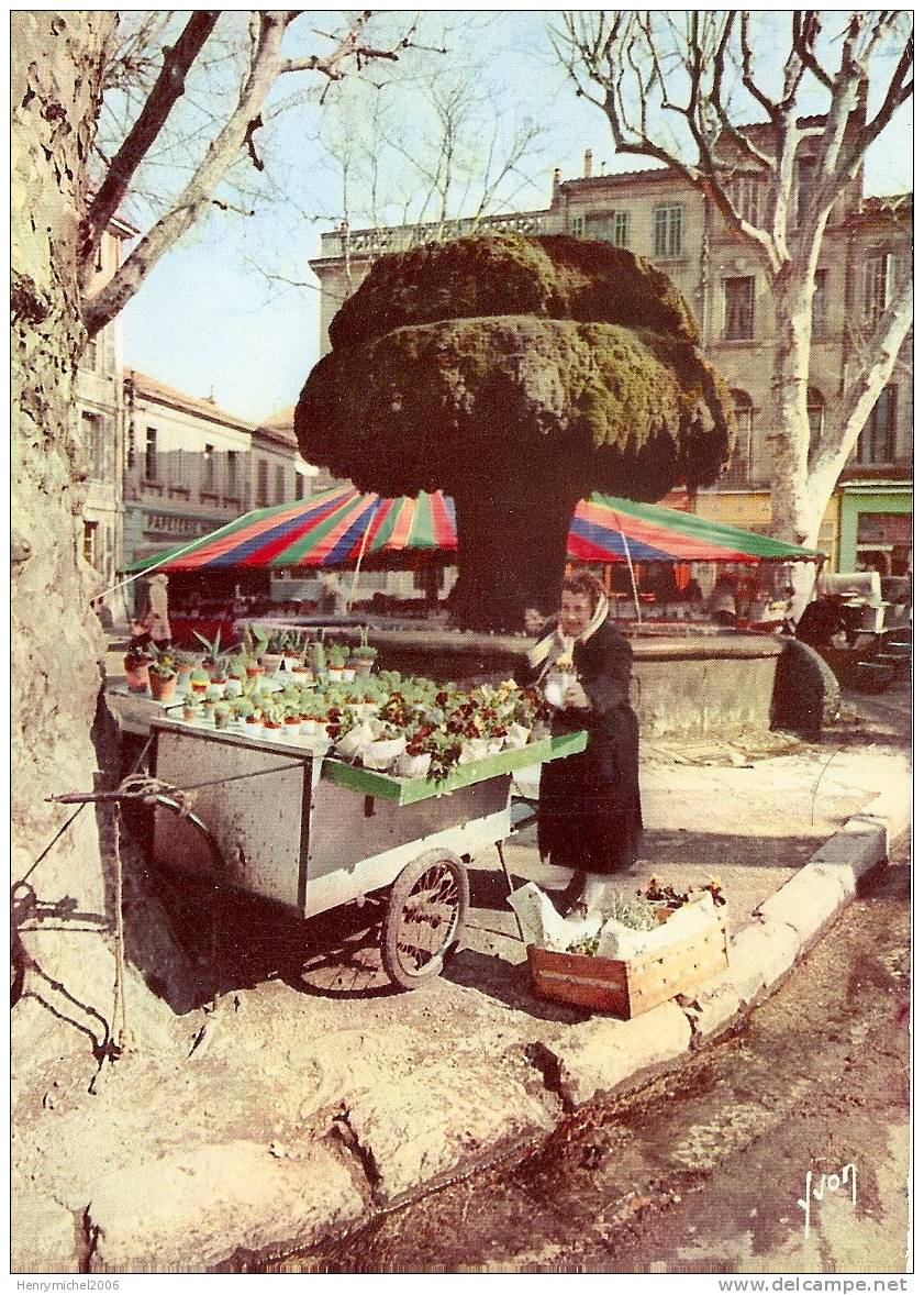 13 Salon De Provence Métiers Marchande De Fleurs Au Marché Prés De La Fontaine, Ed Yvon - Salon De Provence