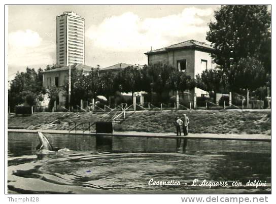 CESENATICO - Aquario Con Delfini - Aquarium Avec Dauphins / Dolphins / Delphinen - Cesena