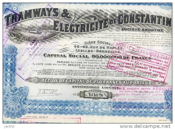 TRAMWAYS & ELECTRICITE De CONSTANTINOPLE (act.capital) - Railway & Tramway