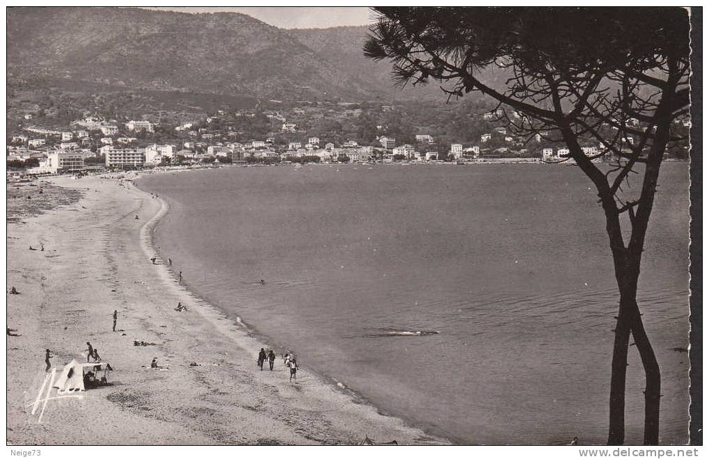 Carte Des Années 50-60 Du 83 - La Favière - Le Lavandou