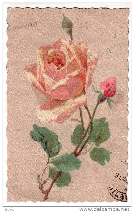 PGL 2337 - FLOWERS ROSE - Altri & Non Classificati