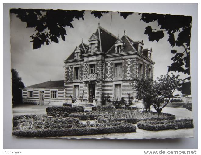 Angoulins , Chateau De La Sapigniere . C.p. Photo 15X10 - Angoulins