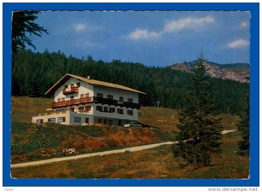 SPITZINGSEE. (1300m - Schliersee). Berggasthaus Igler. -  (C.P.S.M.) - Schliersee