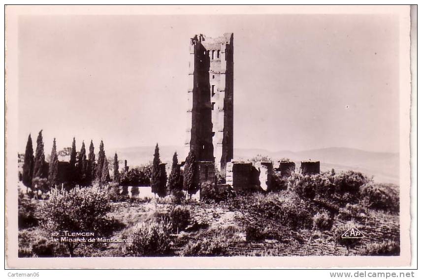 Algérie - Tlemcen - Minaret De Mansourati - Tlemcen