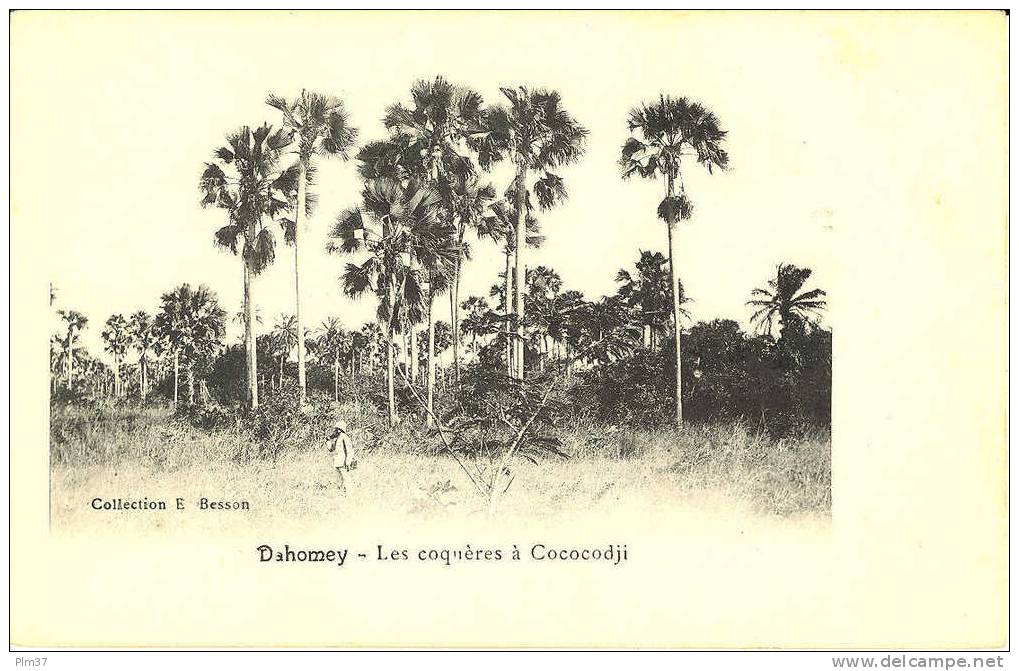 Les Coquères à Cococodji - Dahomey