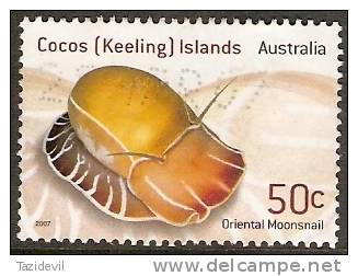 COCOS ISLANDS - Used 2007 50c Shell - Cocos (Keeling) Islands