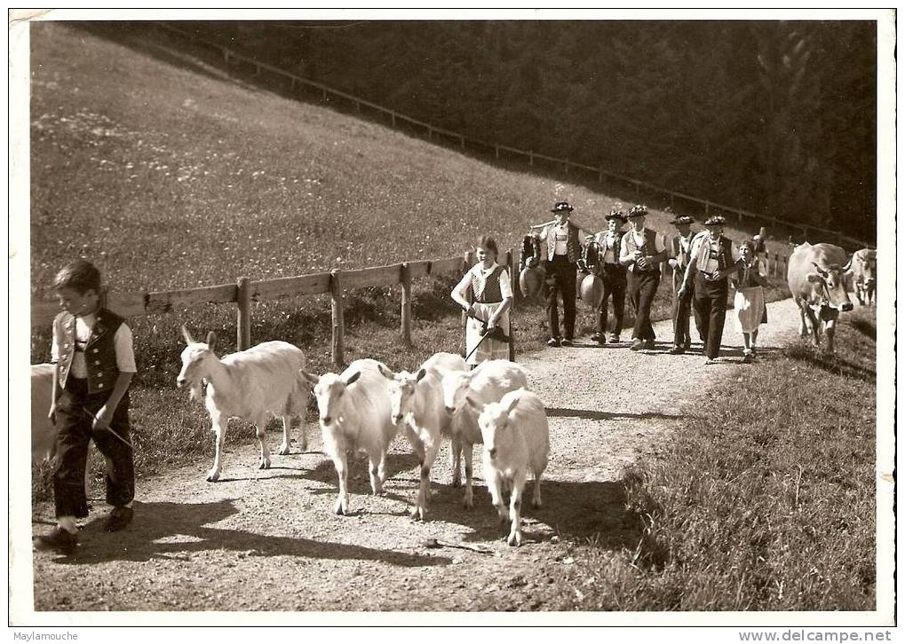 Alp Aufzug  Chevres Et Chevriers - Autres & Non Classés