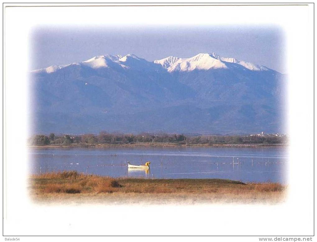 CPM - L'étang De CANET - Au Loin Le Mont Canigou - Pêcheur Sur Barque - Canet En Roussillon