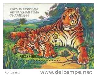 1992 RUSSIA Nature Conservation MS-Tiger Cubs - Blocchi & Fogli