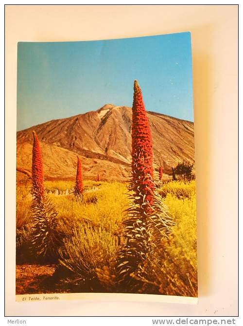 Espana -Islas Canarias -  Tenerife -El Teide    VF   D59849 - Fuerteventura