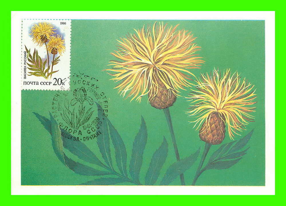 CARTES MAXIMUM - FLEURS, ARBRES, PLANTES - RUSSIE - CCCP - 1986 - - Cartoline Maximum