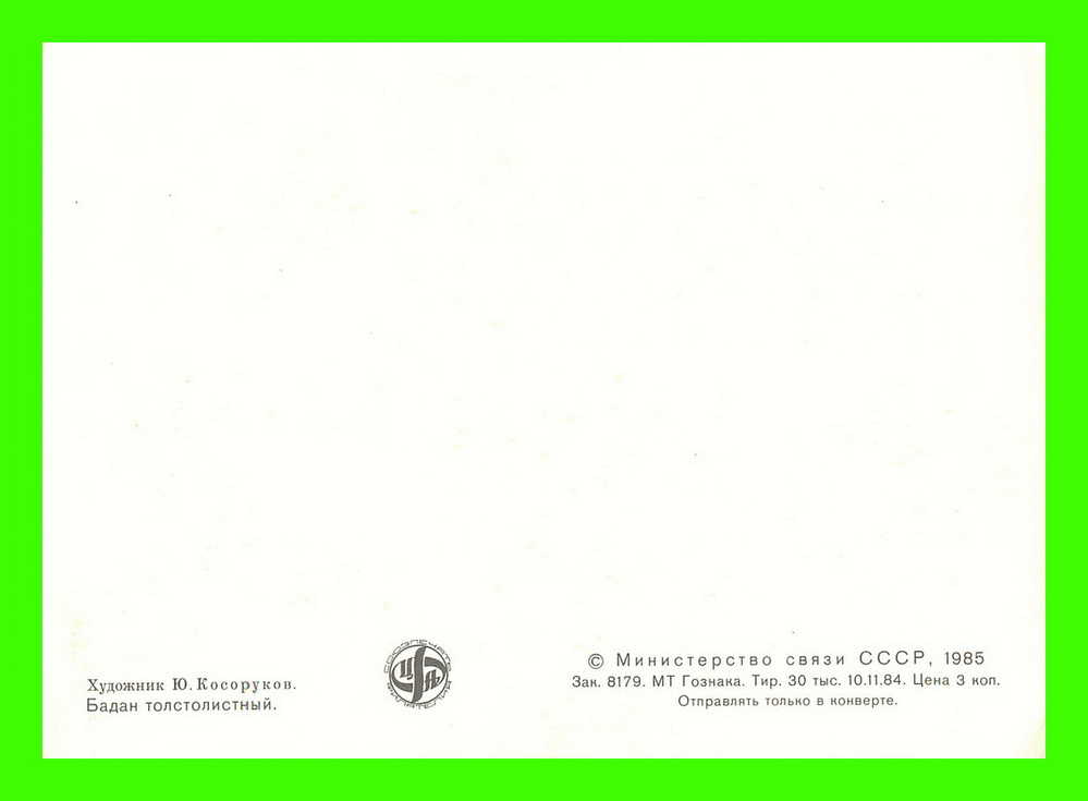 CARTES MAXIMUM - FLEURS, ARBRES, PLANTES - RUSSIE - CCCP - 1985 - - Maximumkarten
